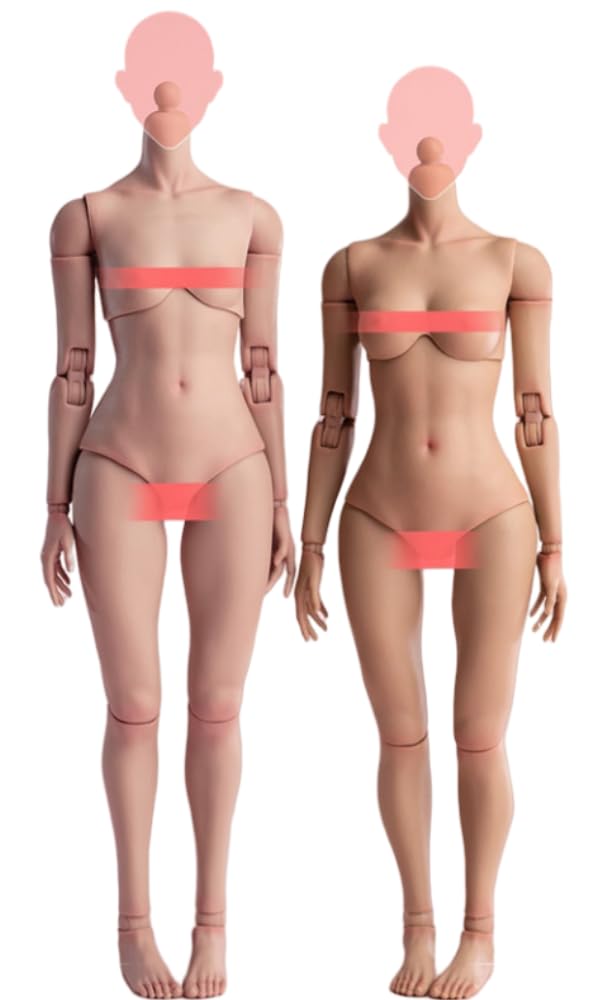 Amazon.co.jp: HiPlay Worldbox 1/6 女性 素体 モデル 可動 アクション